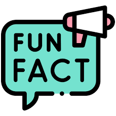 fun fact